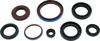 12-14 Arctic Cat 550 4x4 EFI Oil Seal Set