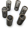 CSK Series Clutch Springs +15% CSK Series Clutch Springs +15%