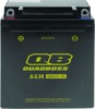 QuadBoss AGM Battery QB12C-FA