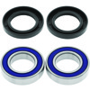 QuadBoss Rear Wheel Bearing Kit for 2008 Arctic Cat 50 2x4 - Fits 2008 Arctic Cat 50 2x4 rear wheel