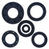 04-06 Arctic Cat 650 V2 4x4 AT Oil Seal Set