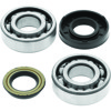 QuadBoss Crank Bearing & Seal Kit For 04-07 Polaris Predator 50 - Fits 04-07 Polaris Predator 50