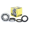 Crankshaft Bearing & Seal Kit